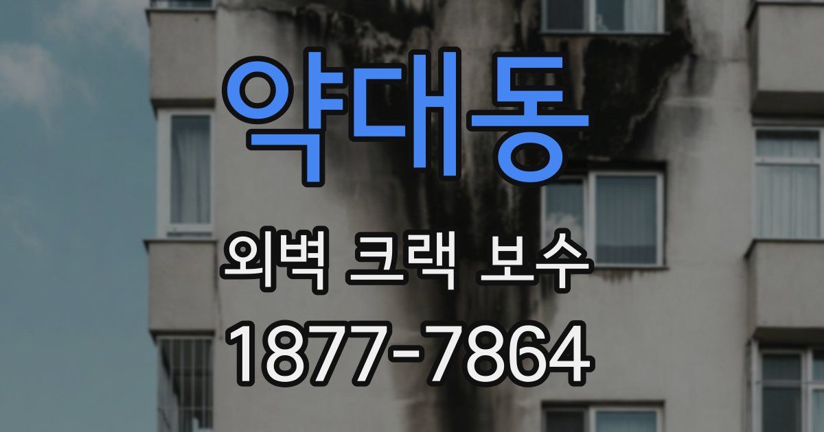 약대동 외벽 크랙 보수
