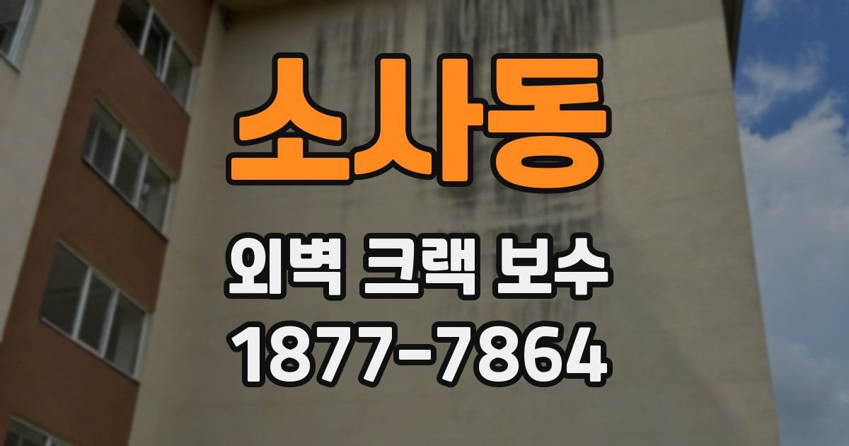 소사동 외벽 크랙 보수