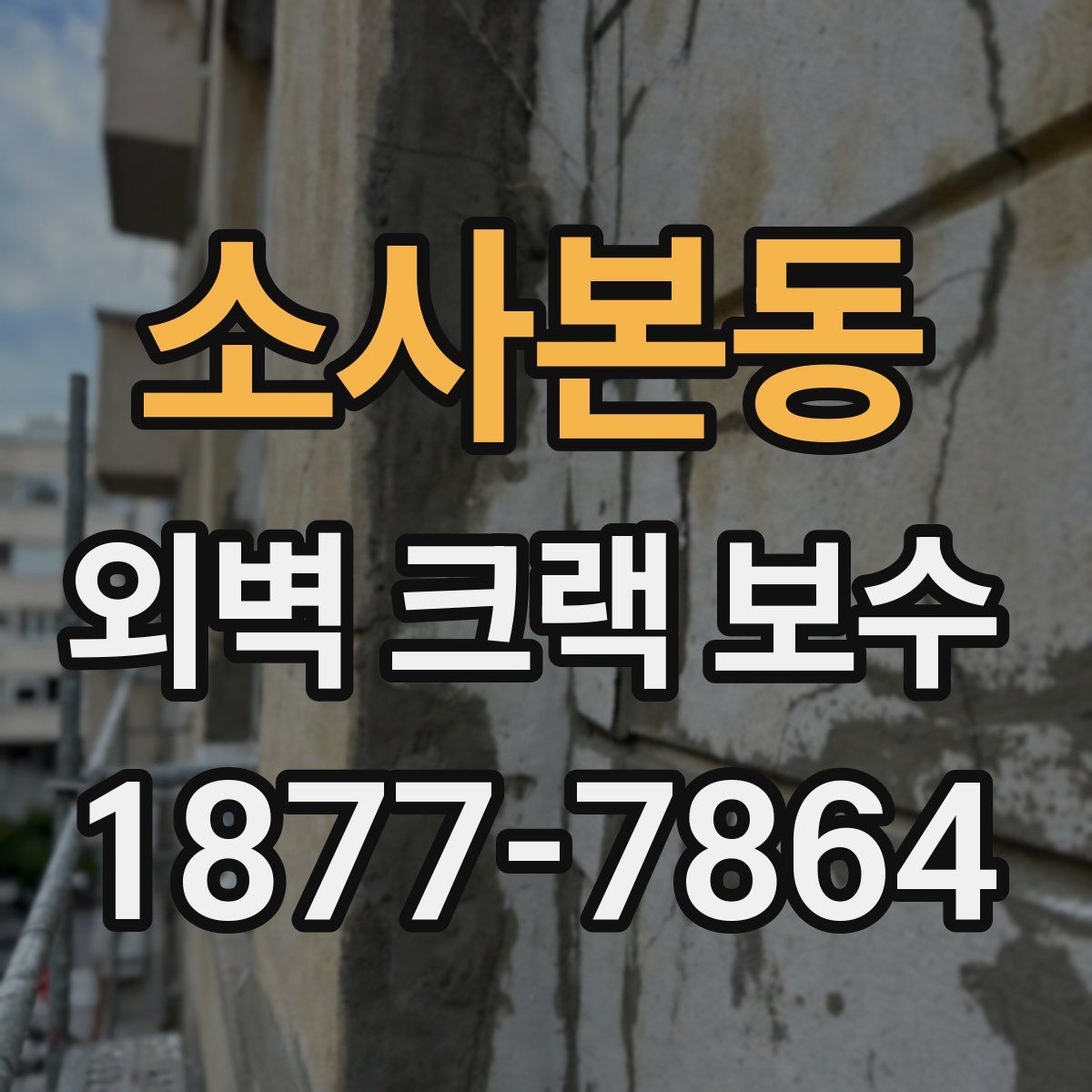 소사본동 외벽 크랙 보수