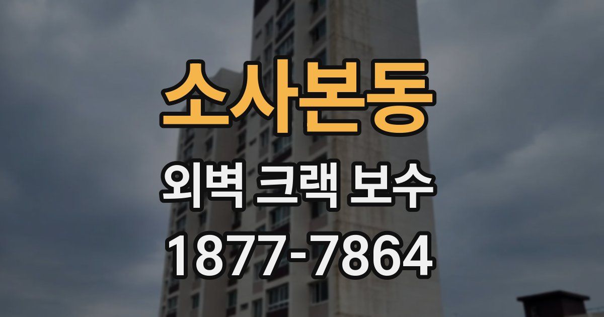 소사본동 외벽 크랙 보수
