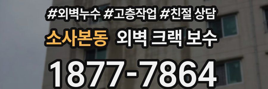 소사본동 외벽 크랙 보수