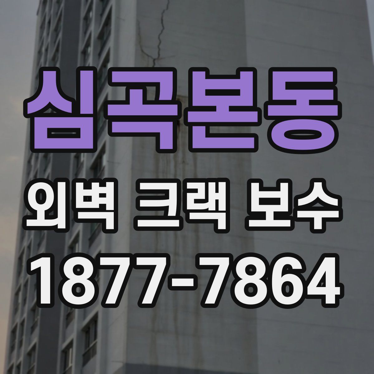 심곡본동 외벽 크랙 보수