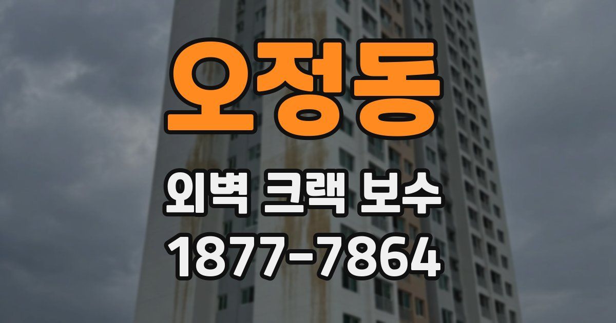 오정동 외벽 크랙 보수
