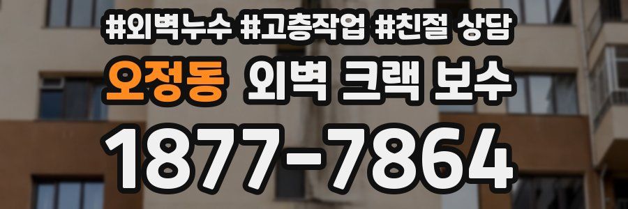 오정동 외벽 크랙 보수