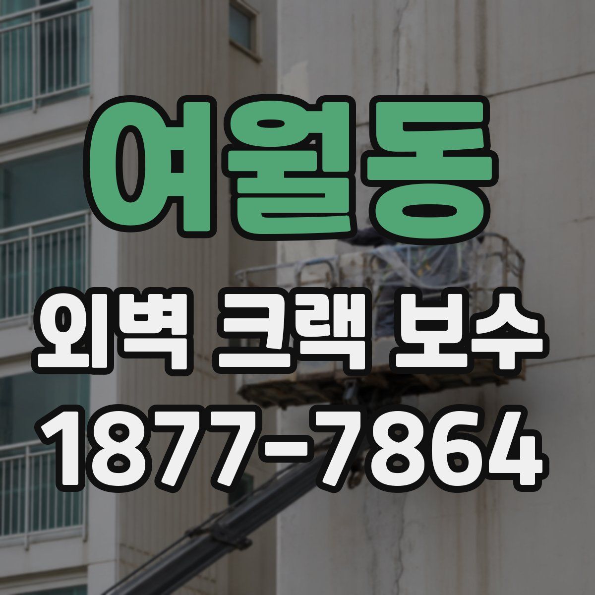 여월동 외벽 크랙 보수