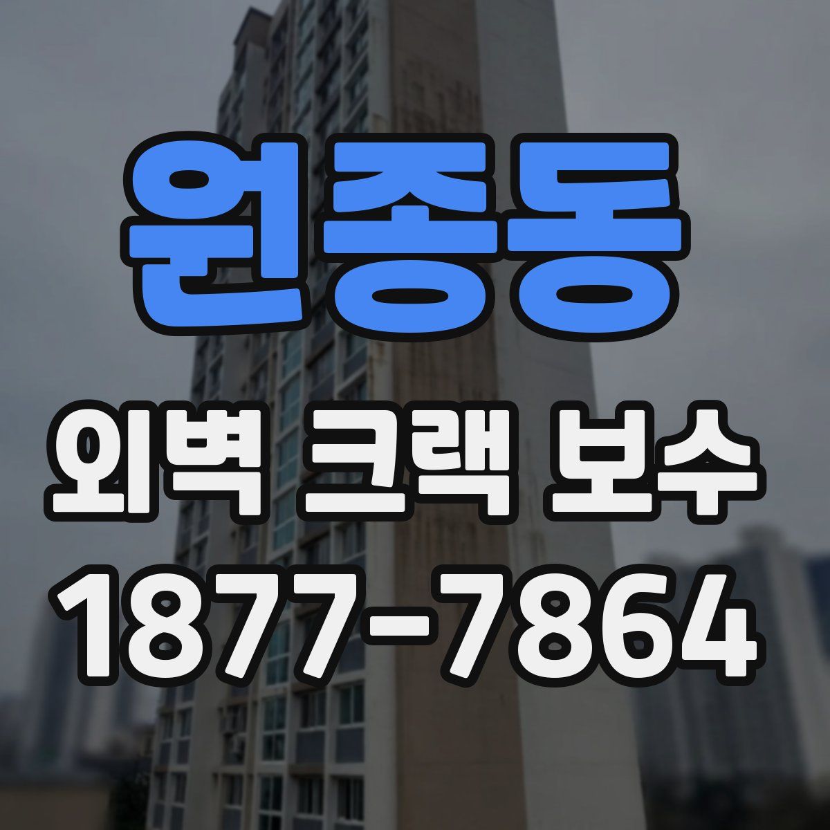 원종동 외벽 크랙 보수