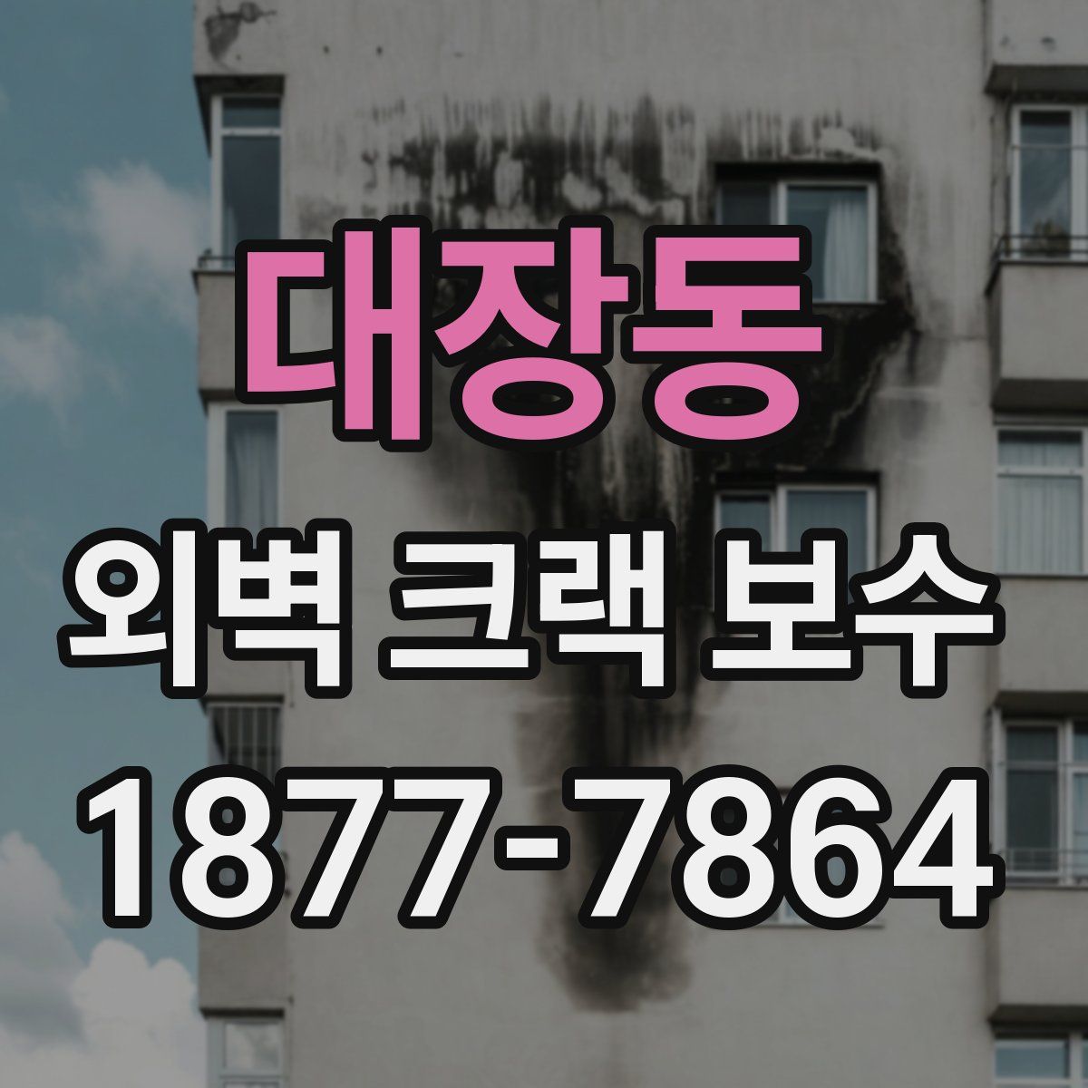 대장동 외벽 크랙 보수