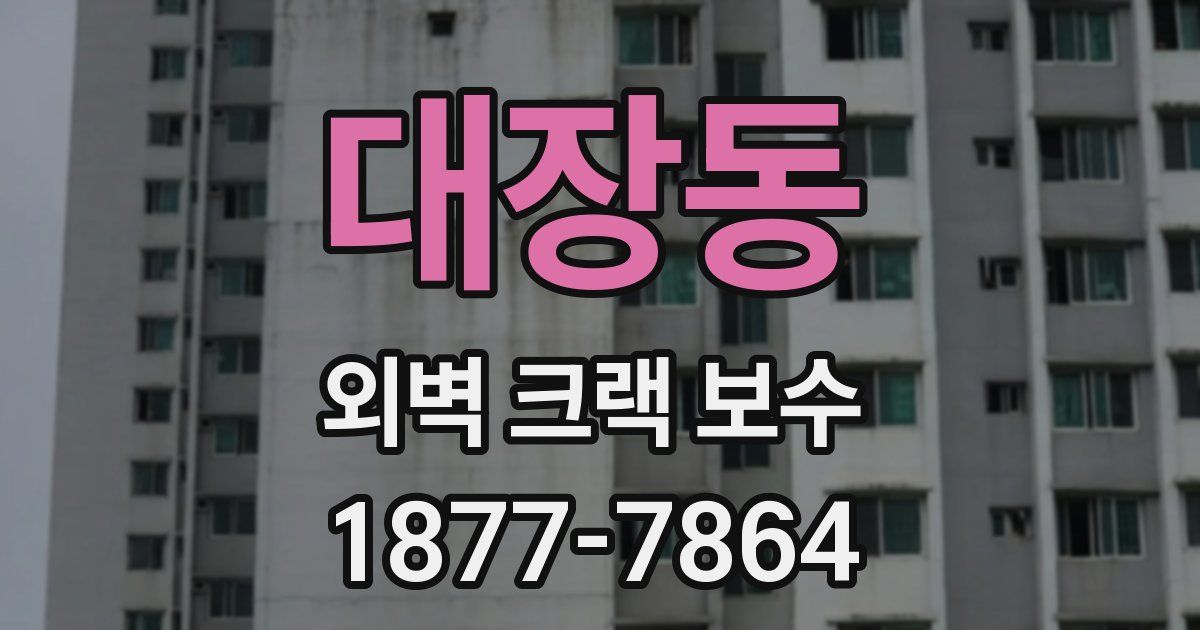 대장동 외벽 크랙 보수