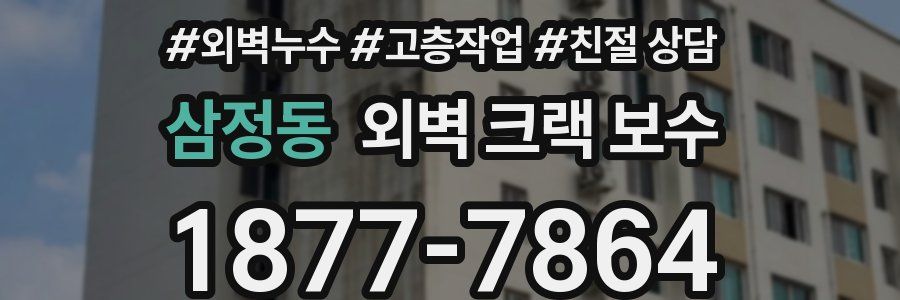 삼정동 외벽 크랙 보수
