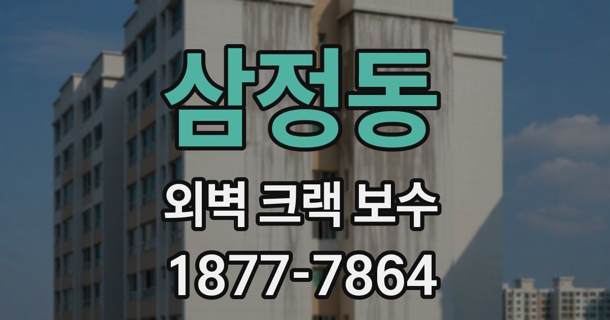 삼정동 외벽 크랙 보수