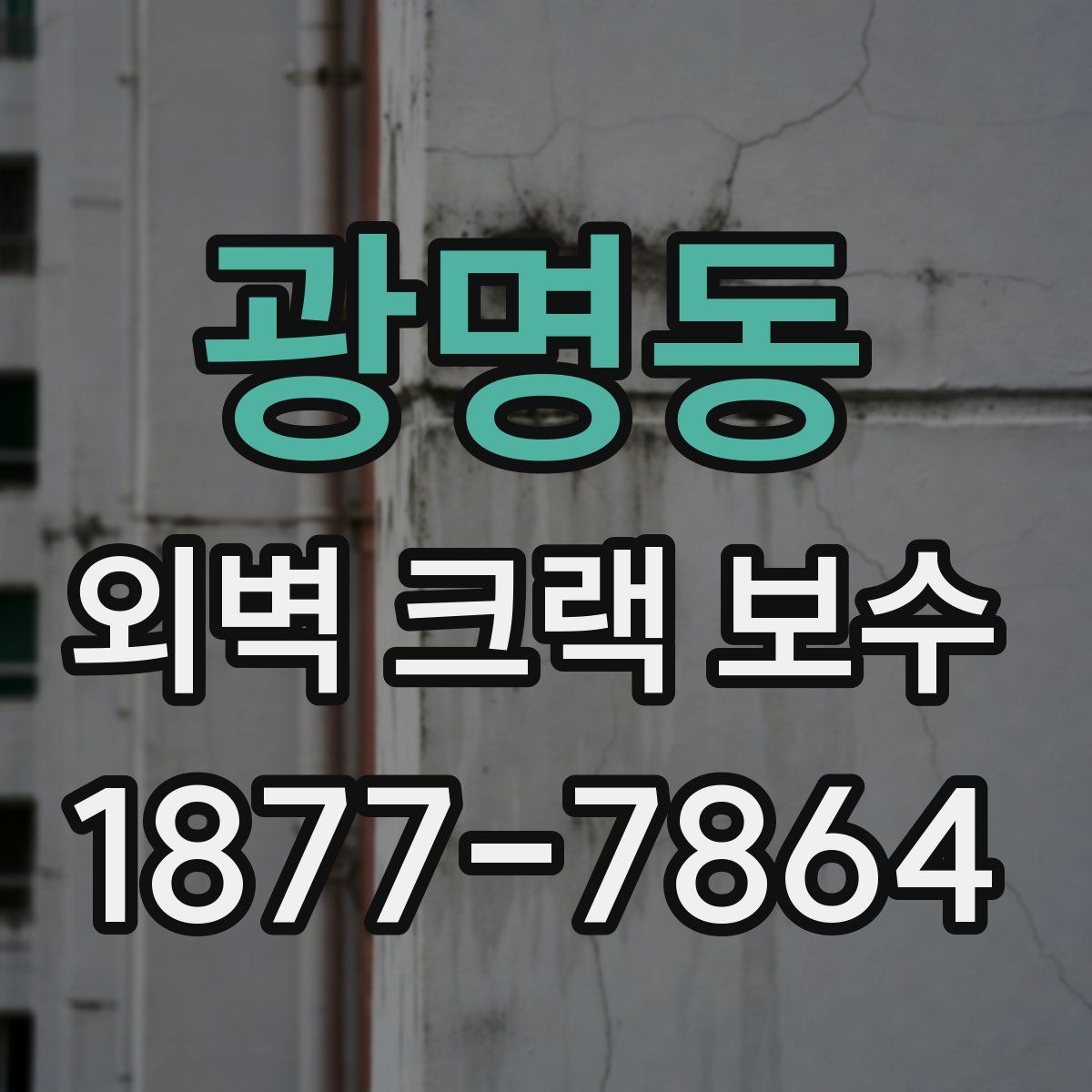광명동 외벽 크랙 보수