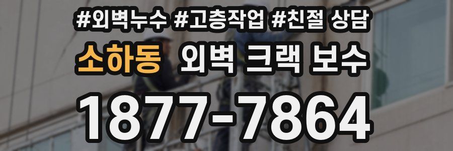 소하동 외벽 크랙 보수