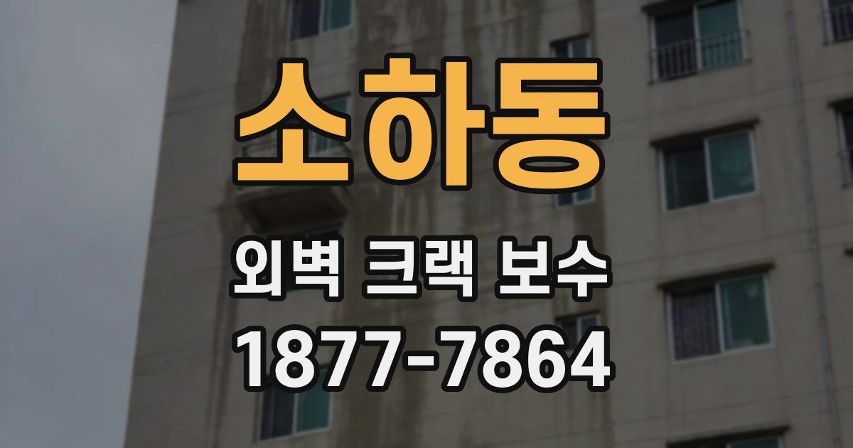 소하동 외벽 크랙 보수
