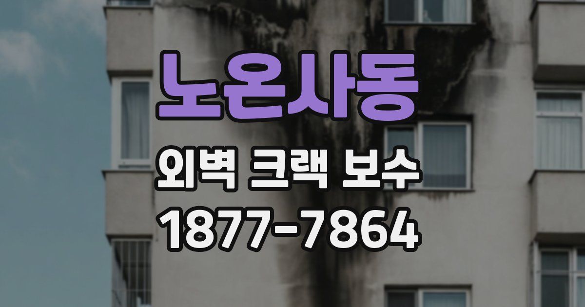 노온사동 외벽 크랙 보수