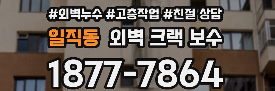 일직동 외벽 크랙 보수