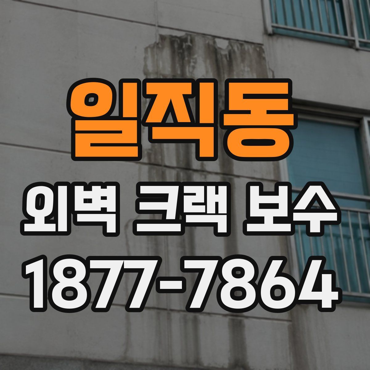 일직동 외벽 크랙 보수