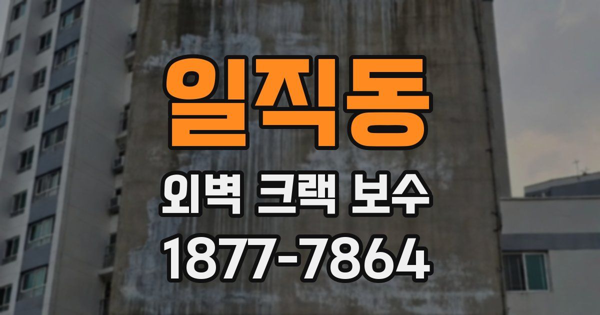 일직동 외벽 크랙 보수