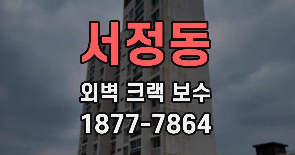 서정동 외벽 크랙 보수
