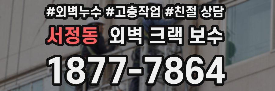 서정동 외벽 크랙 보수