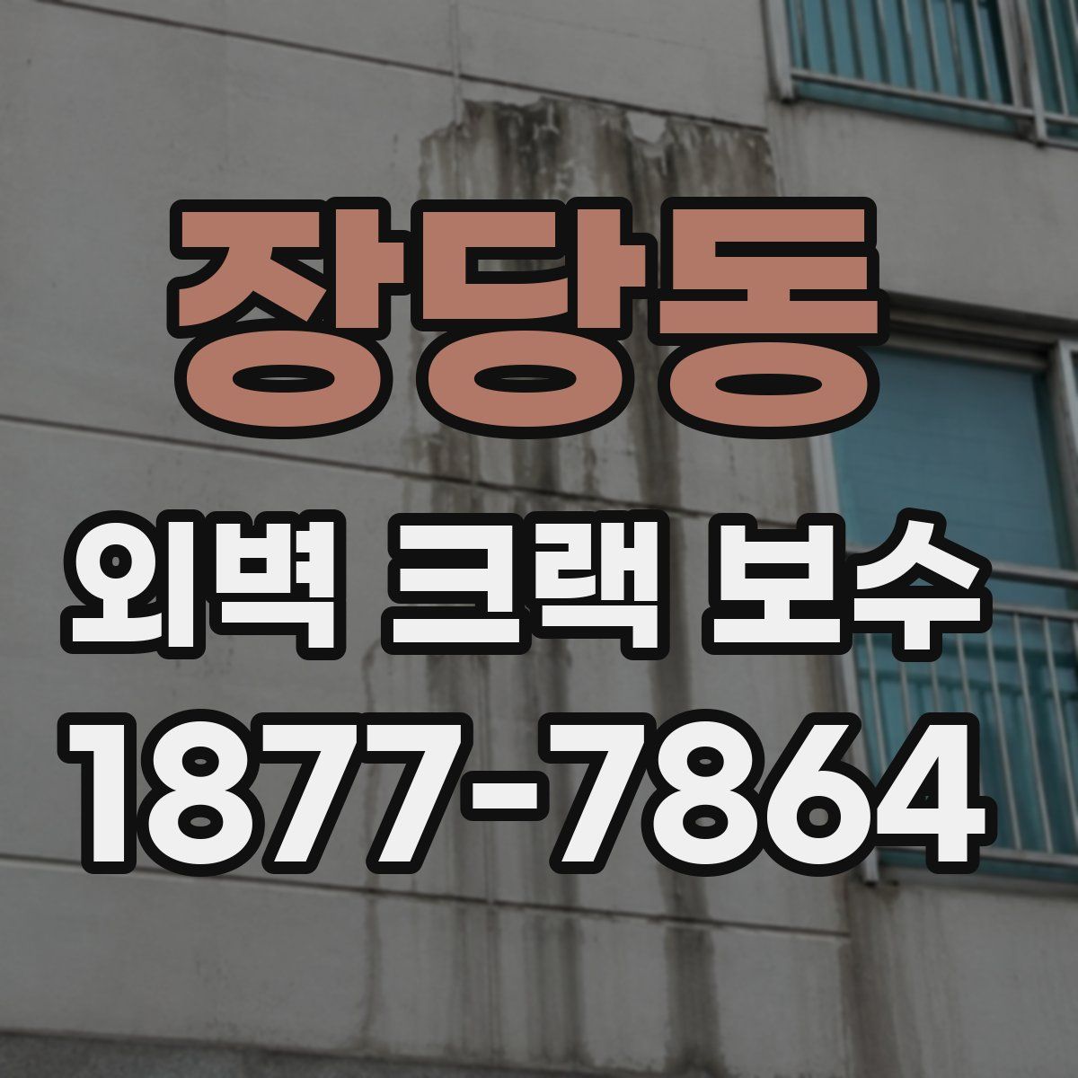 장당동 외벽 크랙 보수