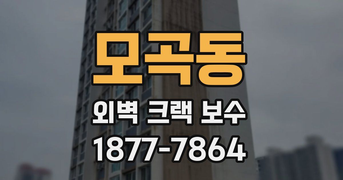 모곡동 외벽 크랙 보수