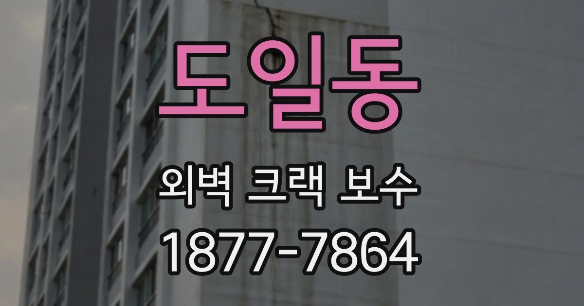 도일동 외벽 크랙 보수