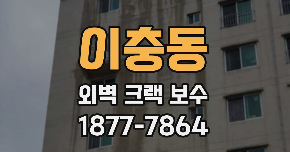 이충동 외벽 크랙 보수