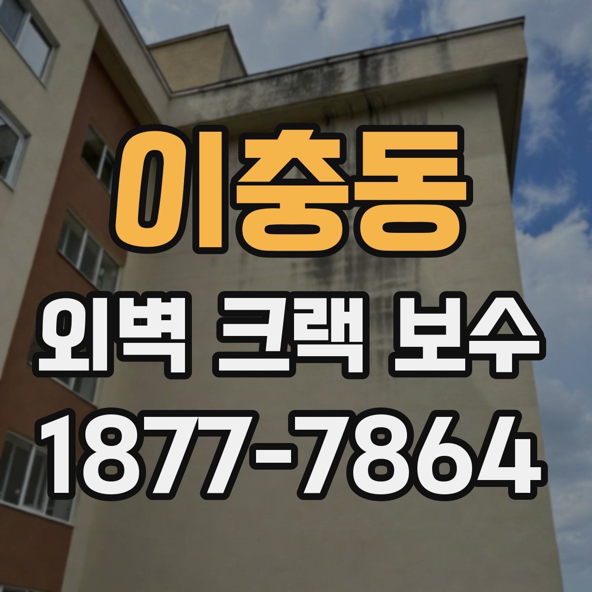 이충동 외벽 크랙 보수