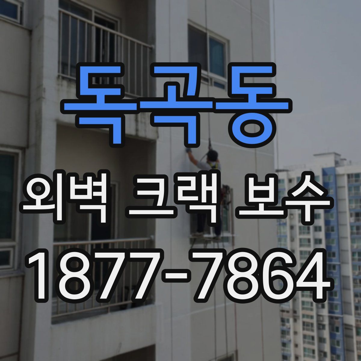 독곡동 외벽 크랙 보수