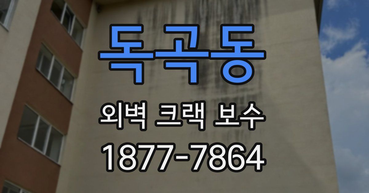 독곡동 외벽 크랙 보수
