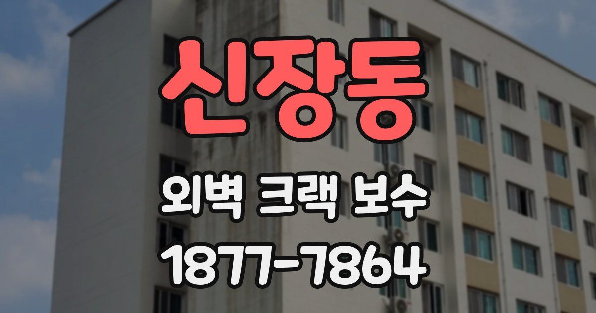 신장동 외벽 크랙 보수