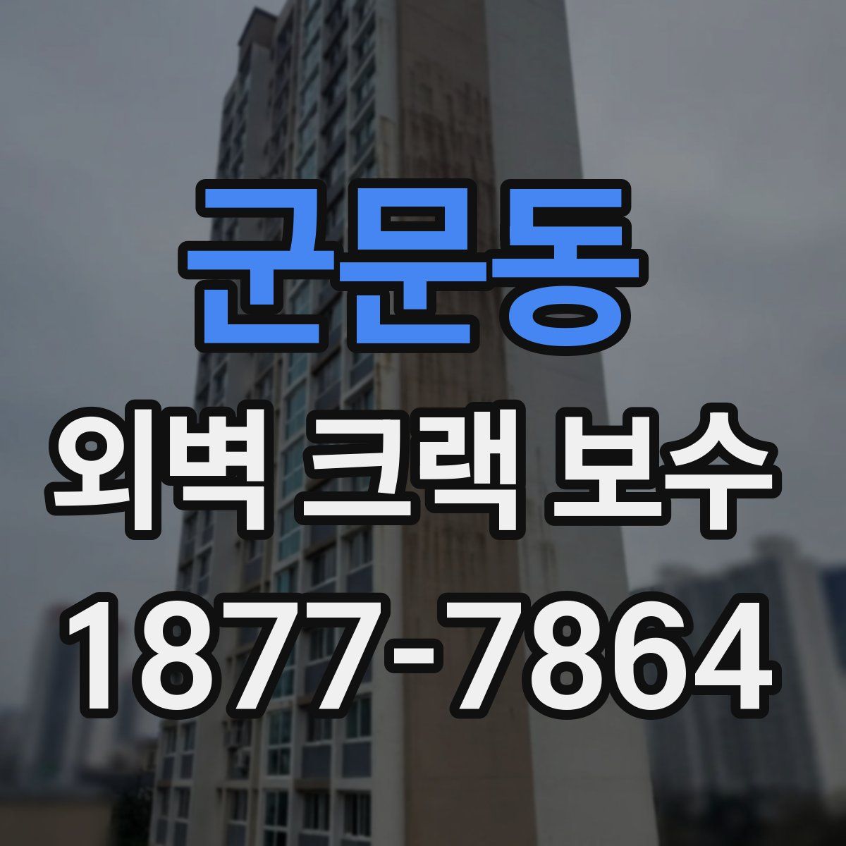 군문동 외벽 크랙 보수