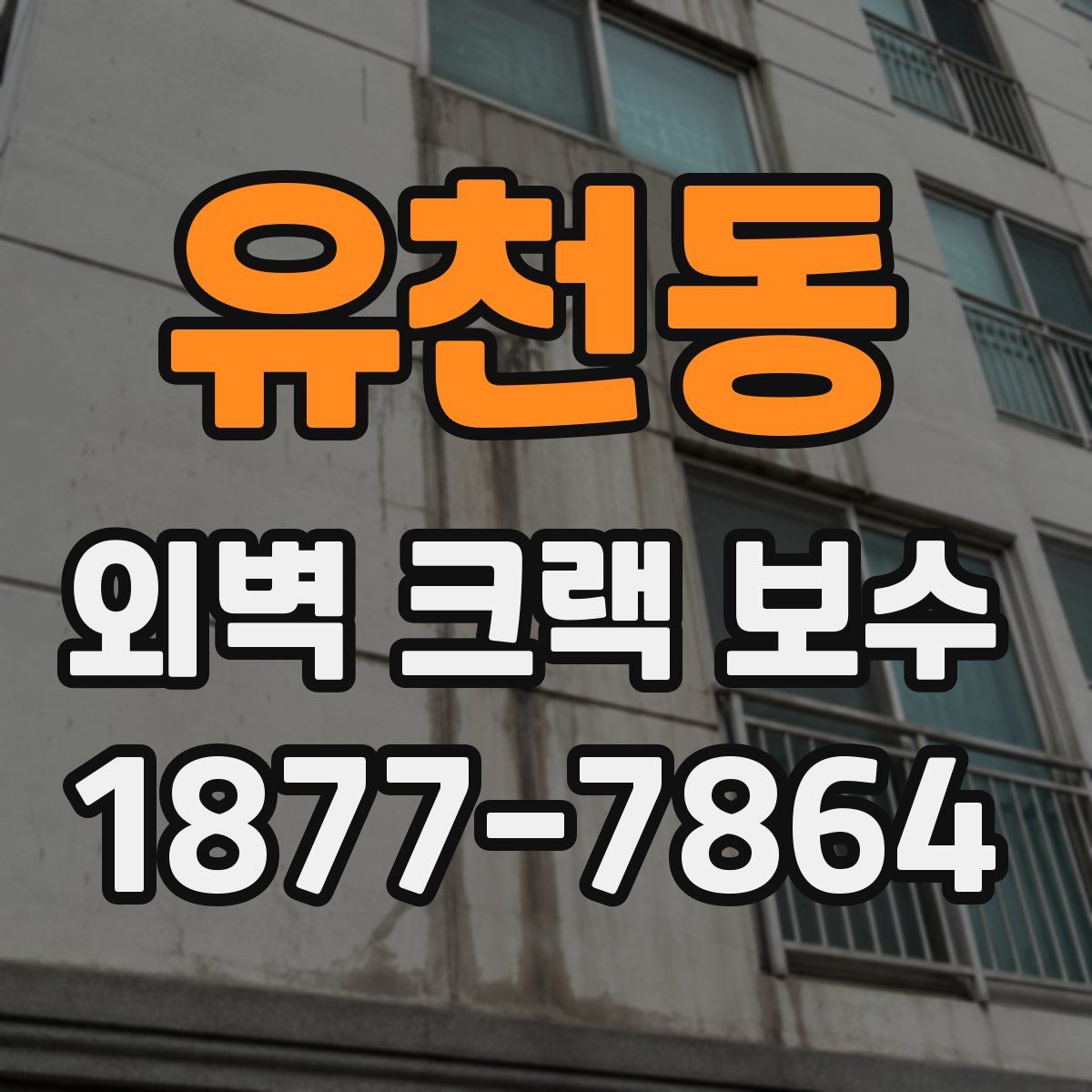유천동 외벽 크랙 보수