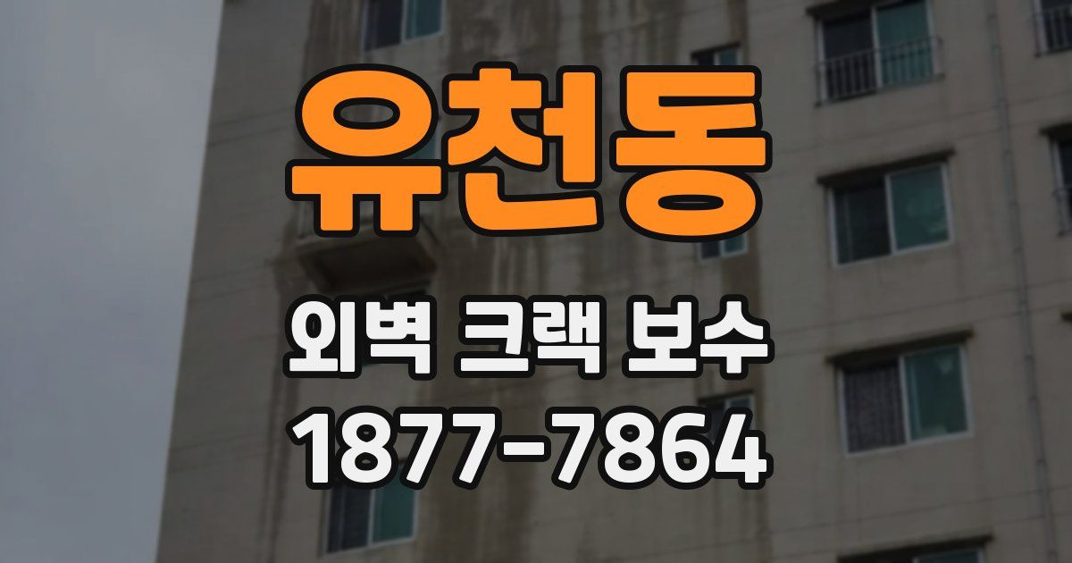 유천동 외벽 크랙 보수