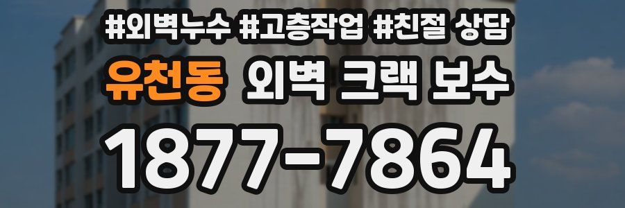 유천동 외벽 크랙 보수