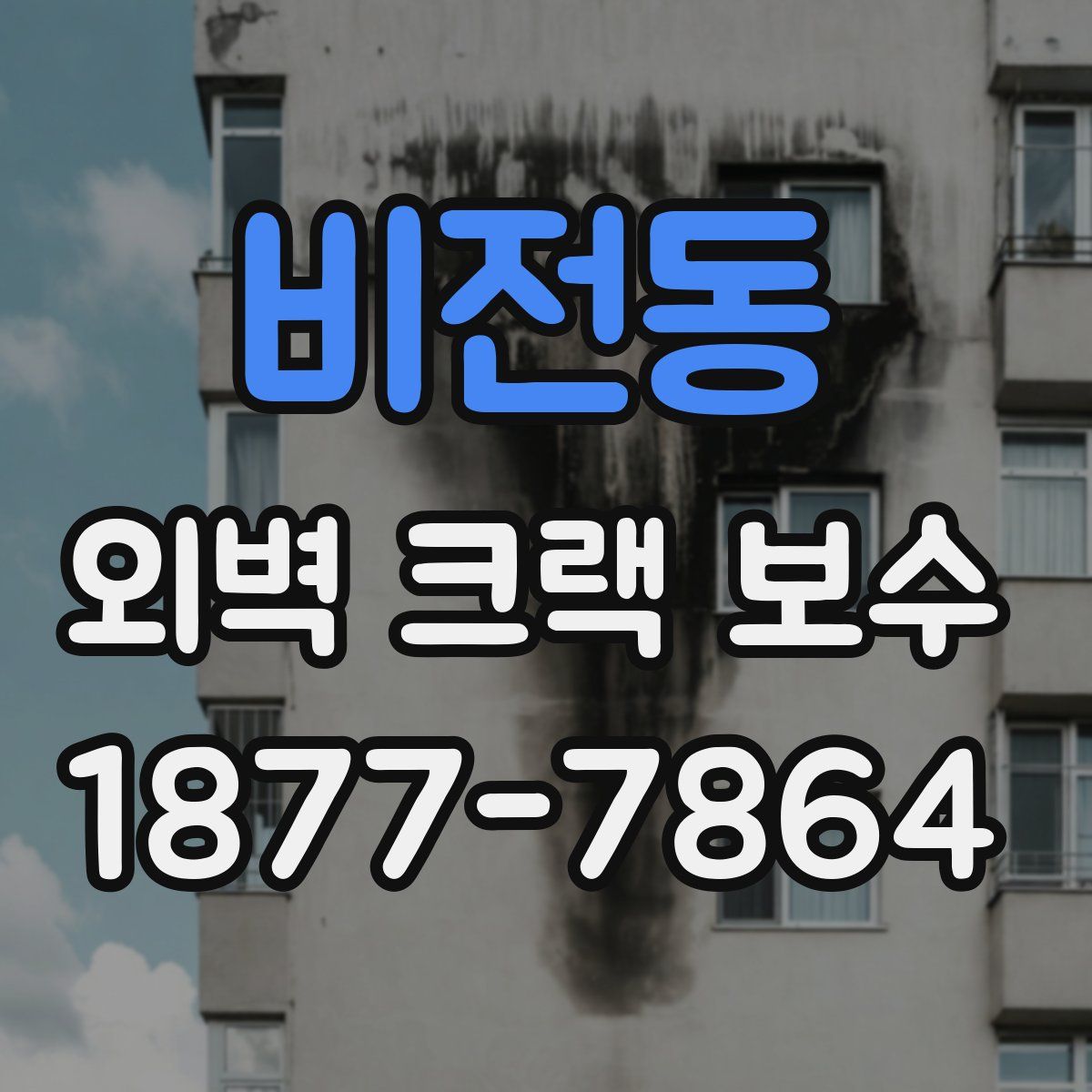 비전동 외벽 크랙 보수