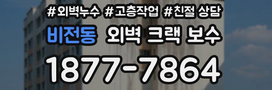 비전동 외벽 크랙 보수