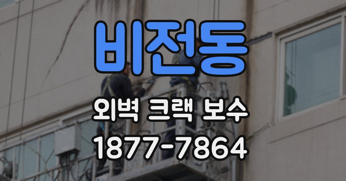 비전동 외벽 크랙 보수