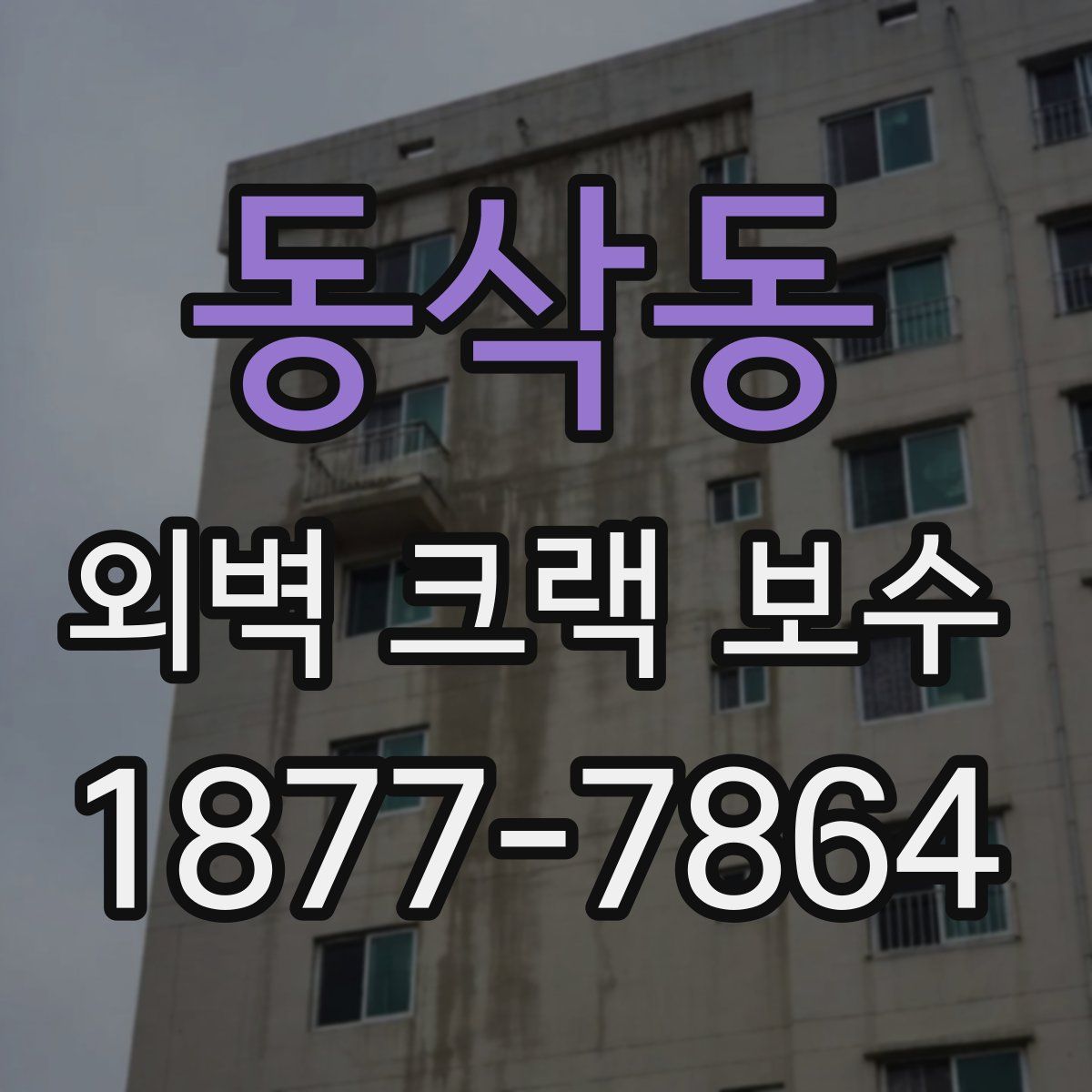 동삭동 외벽 크랙 보수