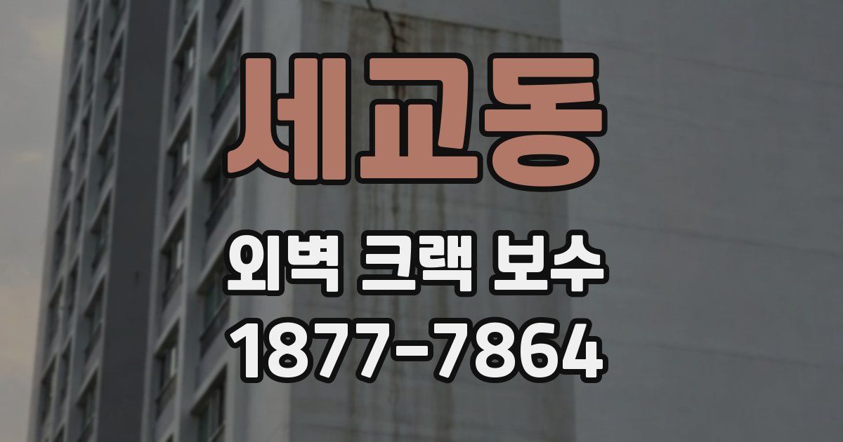 세교동 외벽 크랙 보수