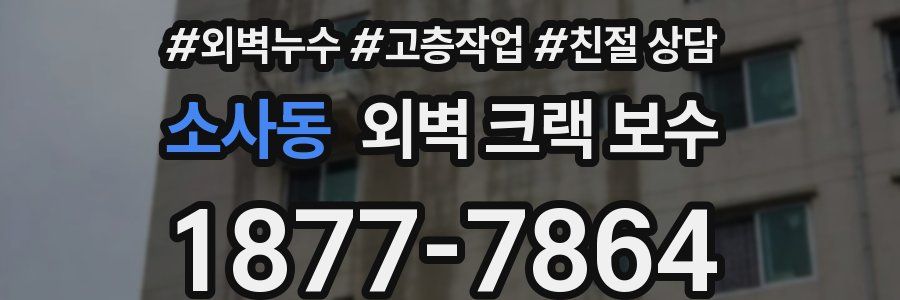 소사동 외벽 크랙 보수
