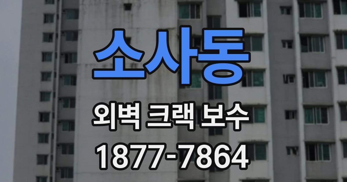 소사동 외벽 크랙 보수