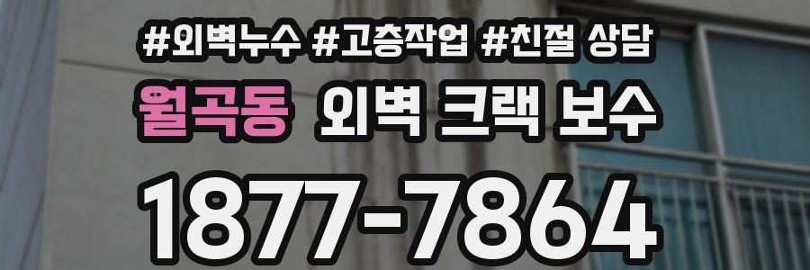 월곡동 외벽 크랙 보수