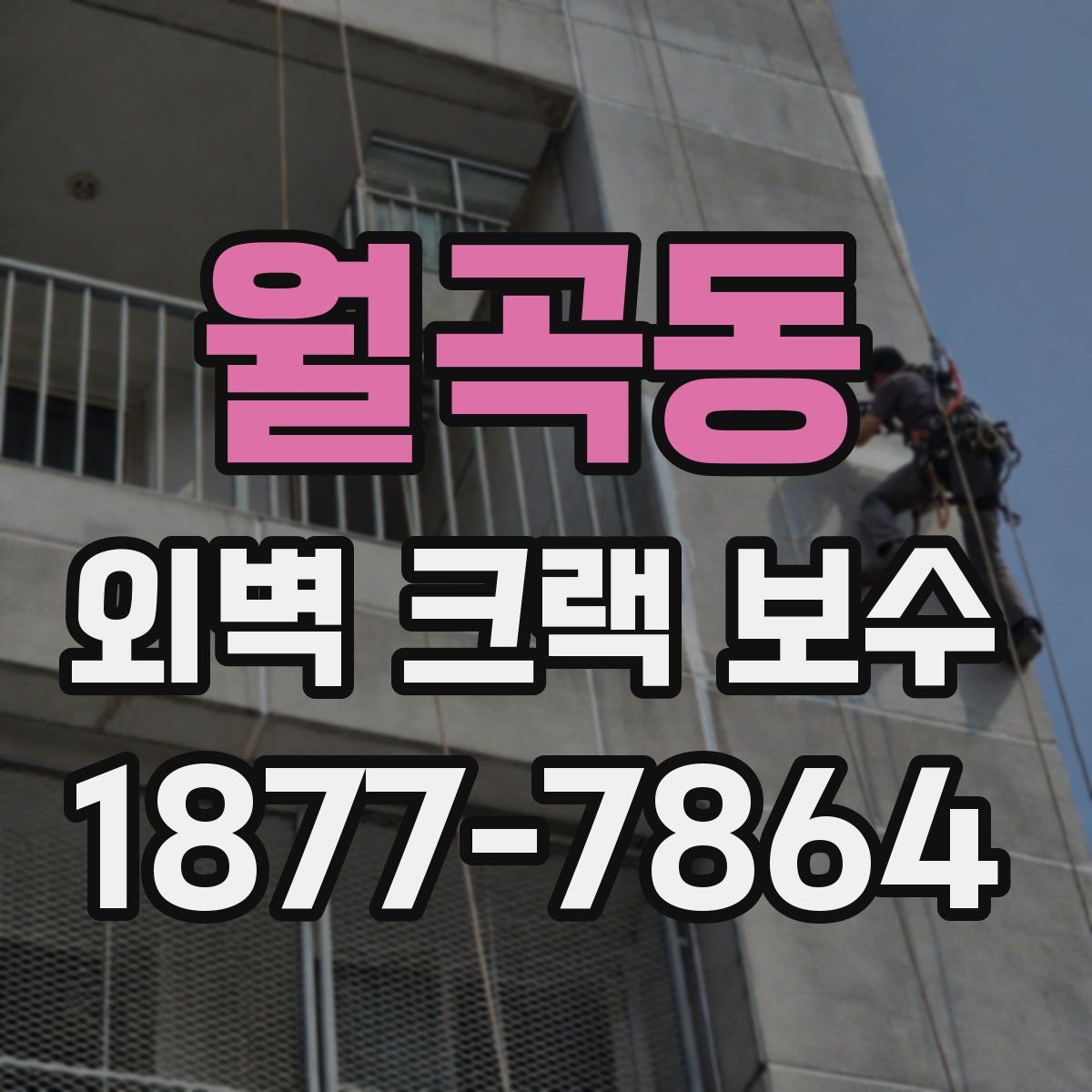 월곡동 외벽 크랙 보수