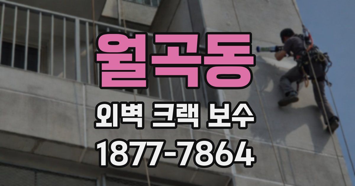 월곡동 외벽 크랙 보수