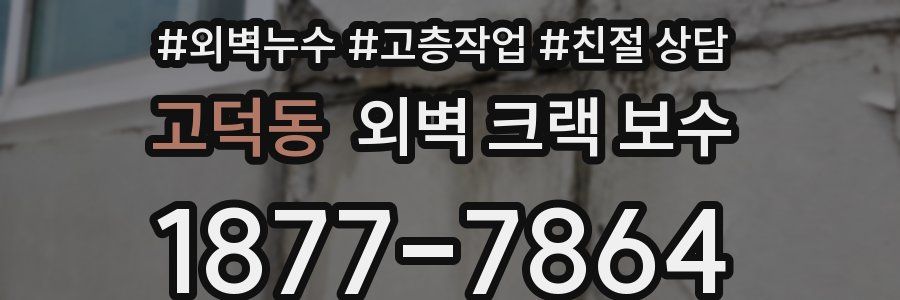 고덕동 외벽 크랙 보수