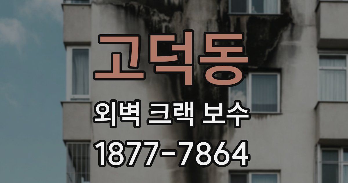 고덕동 외벽 크랙 보수
