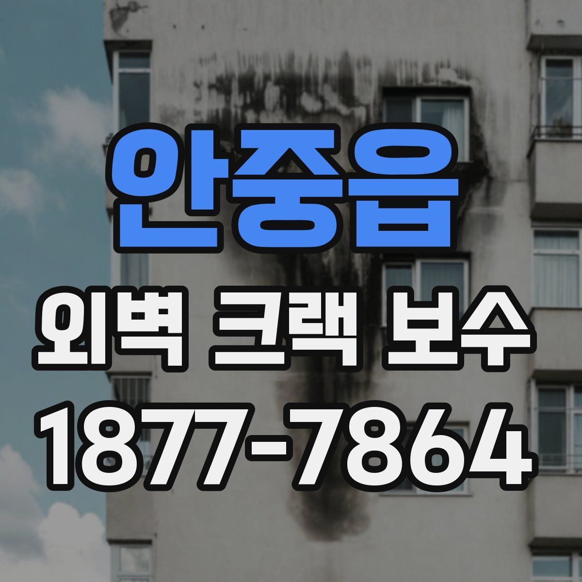 안중읍 외벽 크랙 보수
