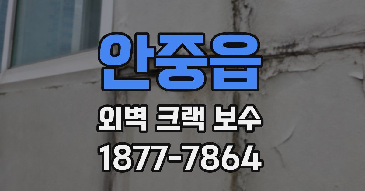 안중읍 외벽 크랙 보수