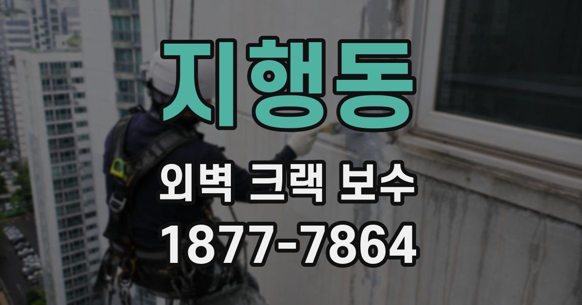 지행동 외벽 크랙 보수